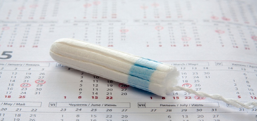 menstruation